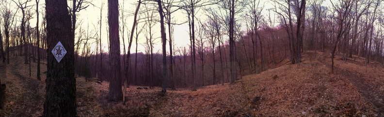 10_Sheltowee Trace Moonrise.jpg